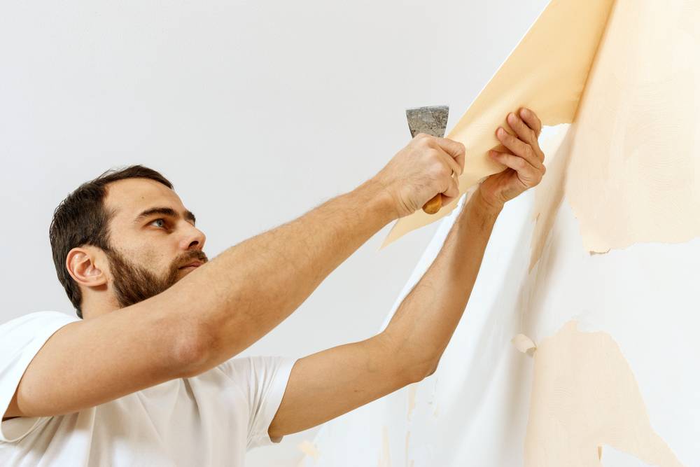 Some Known Details About Best Wallpaper Installation Services In Blountville, Tn - Justdial Us ... 